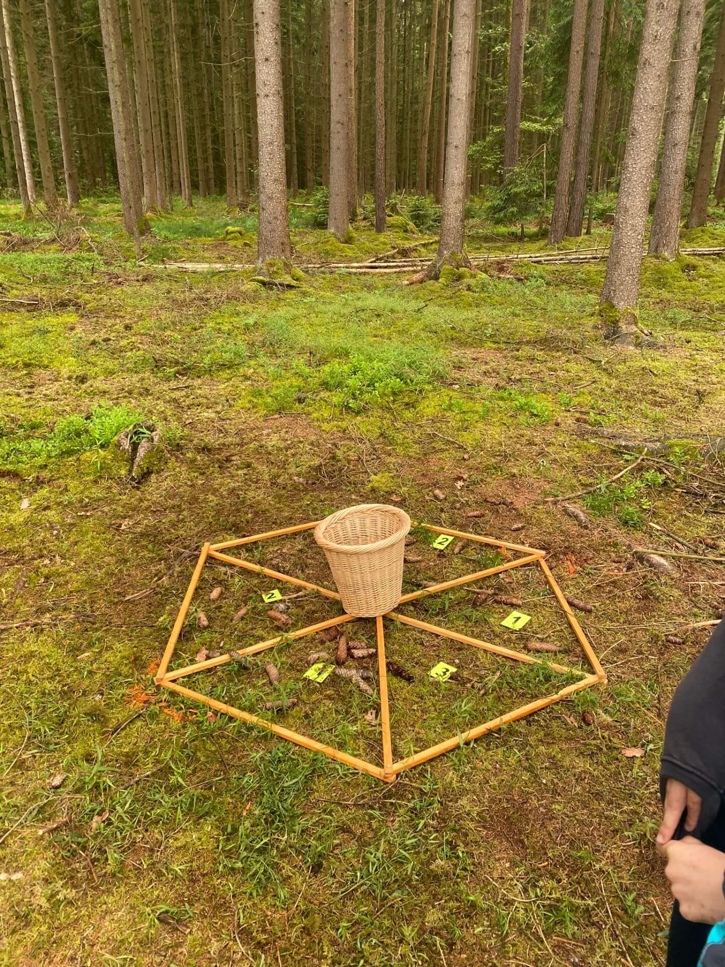 Zapfenwurfspiel auf dem Boden mit Korb und Punktionen